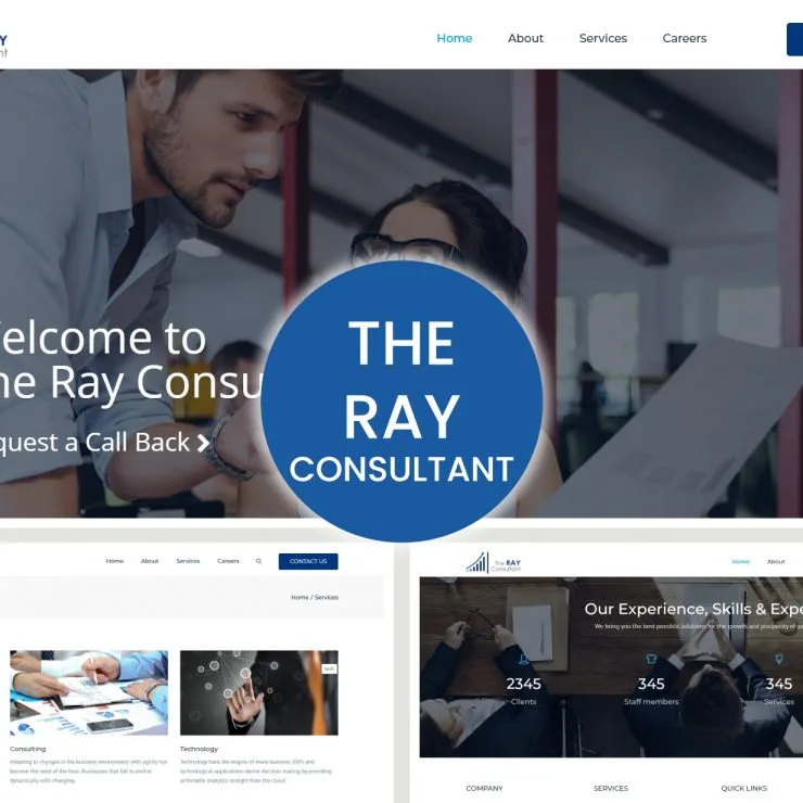 Ray Consultant